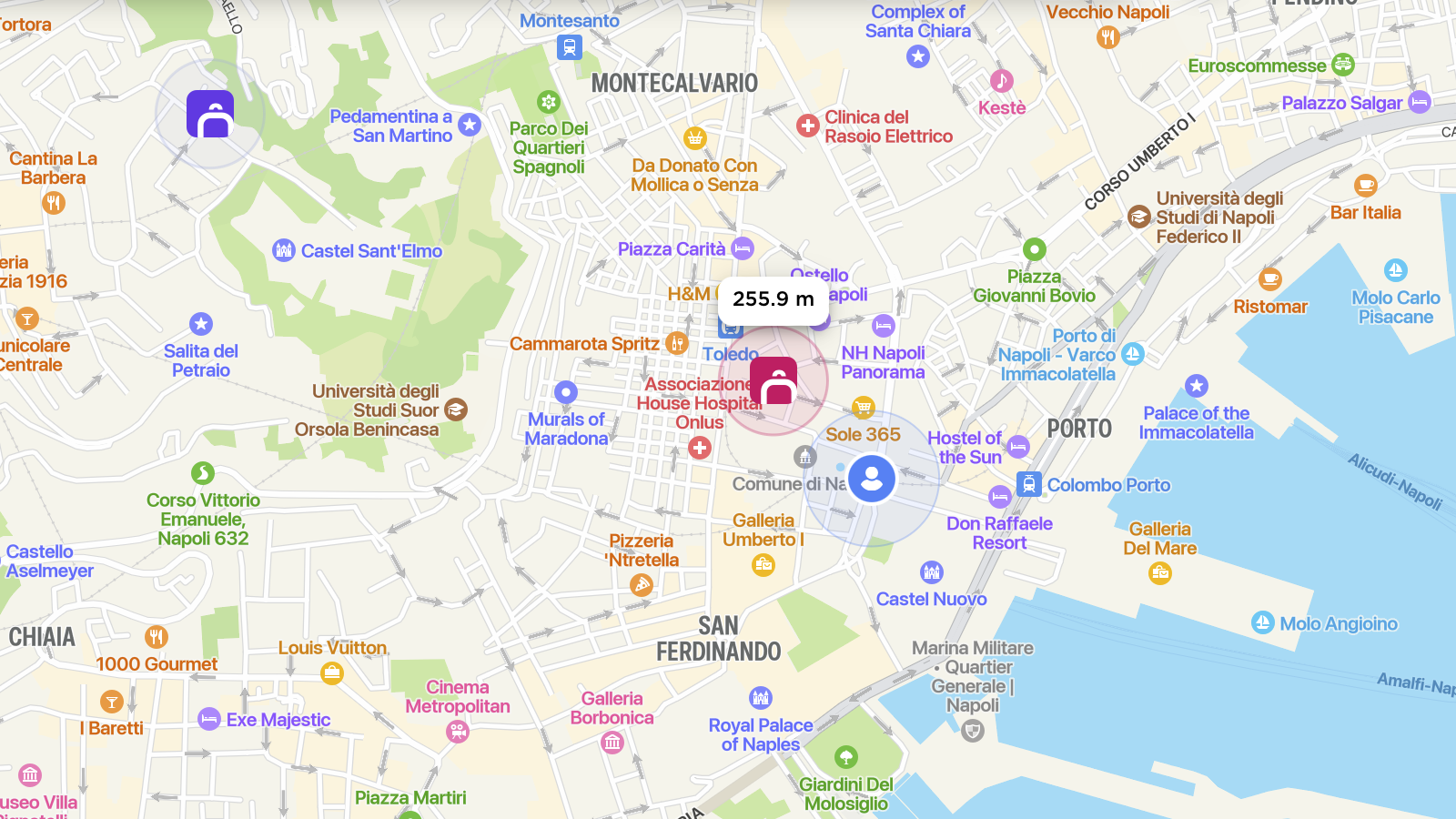 Cost of Luggage Storage in Naples